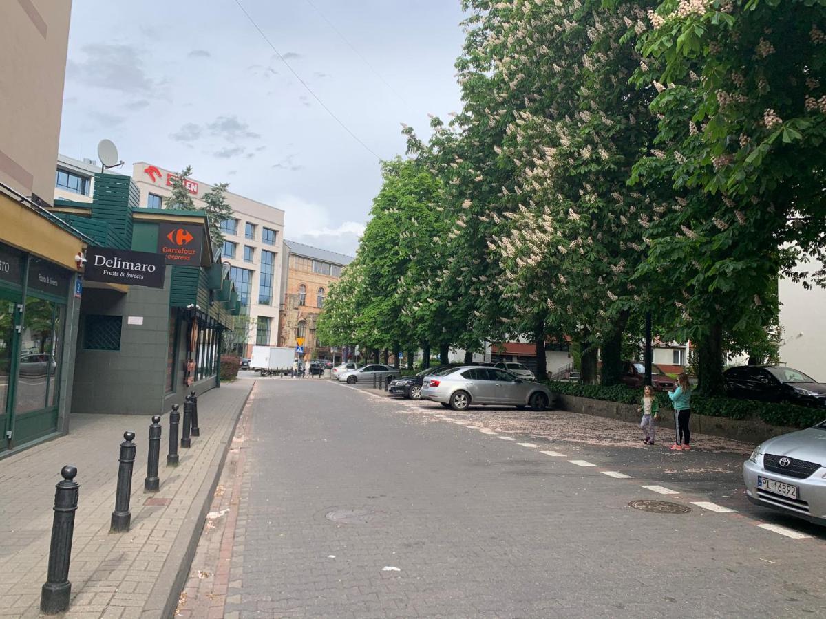 Perfect Location Two Bedrooms With Balkony Butas *